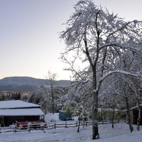 Le mas sous la neige